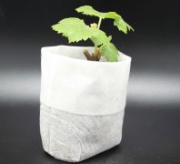 無(wú)紡布種植袋釘子多少錢一個(gè)？它的優(yōu)缺點(diǎn)是什