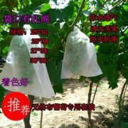 無紡布葡萄套袋_透氣嗎?
