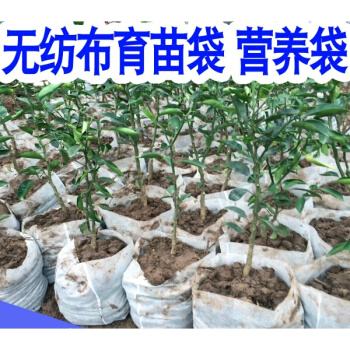 無(wú)紡布種植袋有毒嗎？