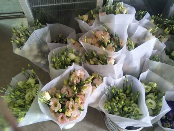 無(wú)紡布鮮花套袋批發(fā)定做廠家