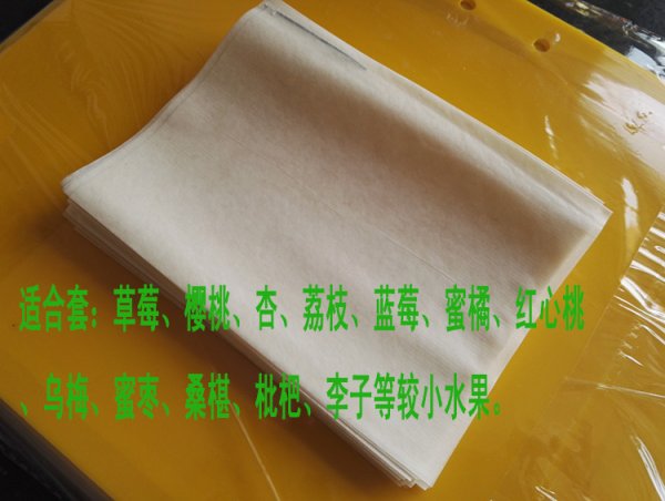 無紡布冬棗套袋_櫻桃套袋草莓套袋杏套袋紙袋防蟲防農(nóng)藥污染