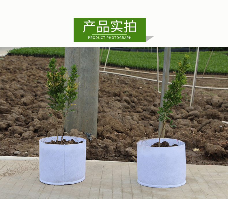 控根器_08